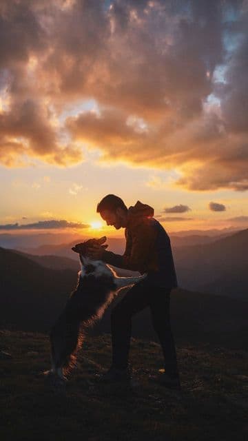 hero-img